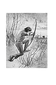 Rolf w lasach. Leśne opowieści