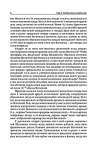 Stars. The World of Celestial Bodies