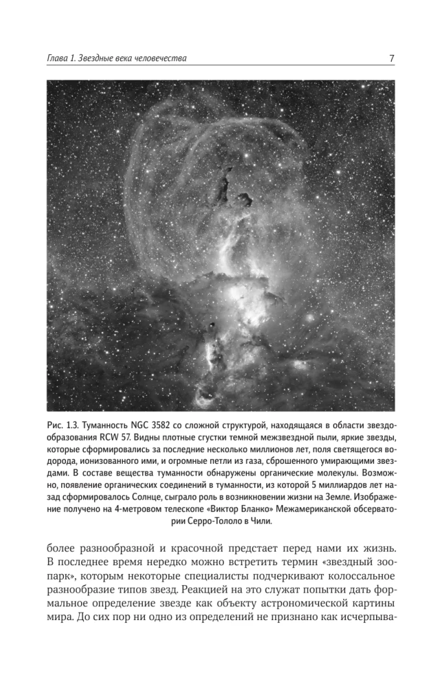 Stars. The World of Celestial Bodies