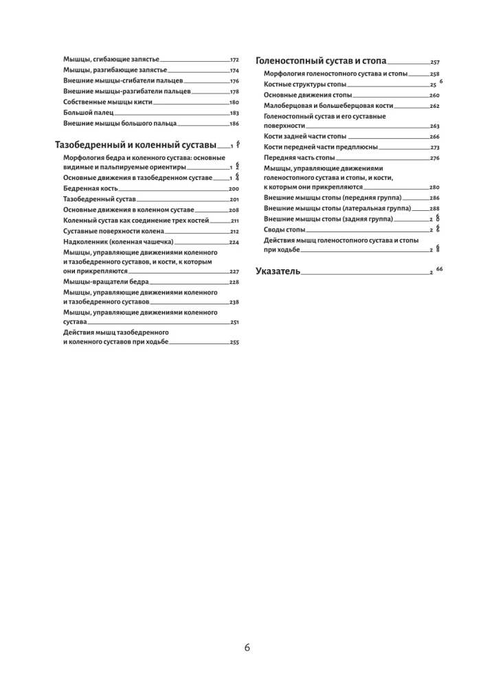 Anatomie der Bewegung: der menschliche Körper