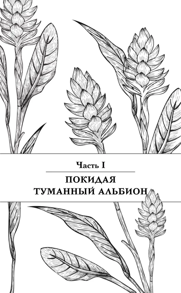 Seven Lives of Jinberry