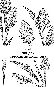 Seven Lives of Jinberry