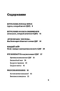 Rocket Child, Hurricane Child. A Guide to ADHD for Loving and Exhausted Parents (Pocket)