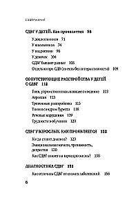 Rocket Child, Hurricane Child. A Guide to ADHD for Loving and Exhausted Parents (Pocket)