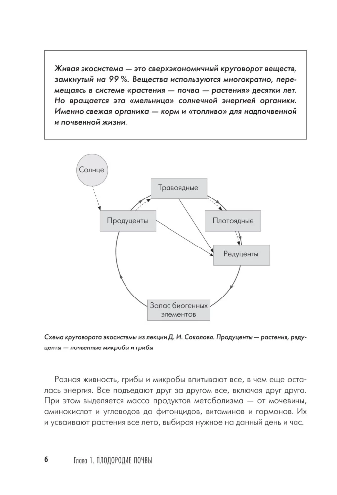 Dacha Book for Gardeners and Vegetable Growers