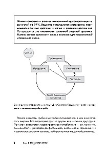 Dacha Book for Gardeners and Vegetable Growers