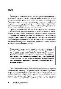 Dacha Book for Gardeners and Vegetable Growers