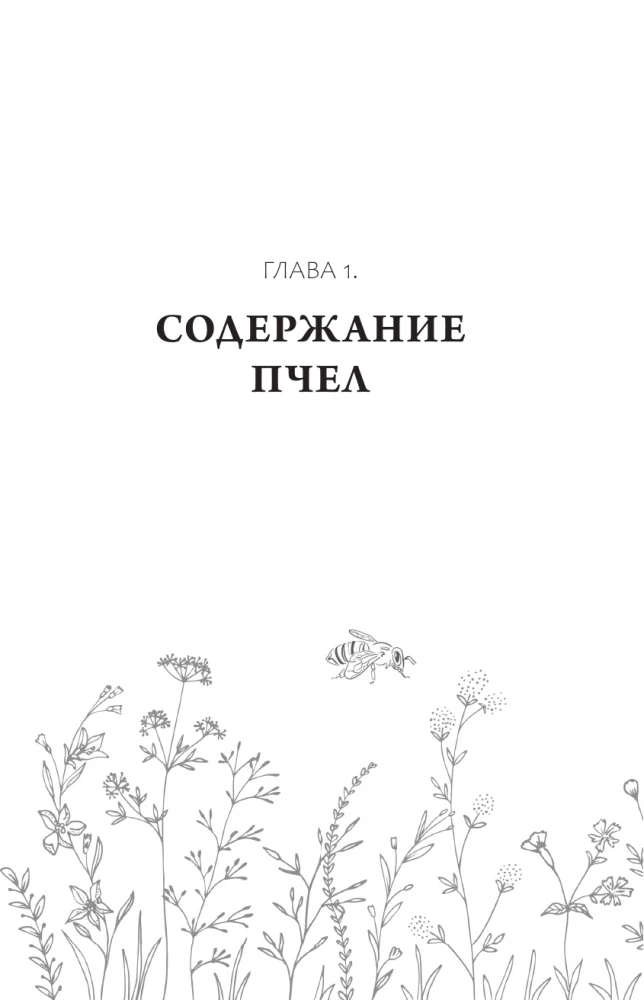 Beekeeping. Apiary. Practical Guide for Beginning Beekeepers