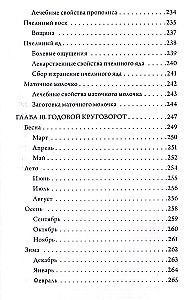 Beekeeping. Apiary. Practical Guide for Beginning Beekeepers