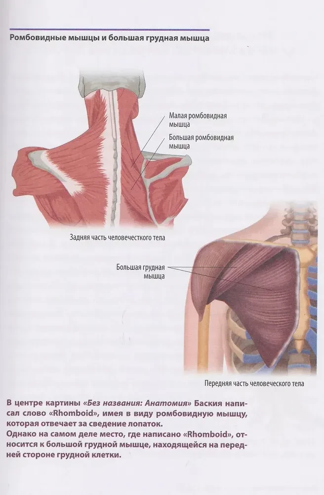 Анатомия шедевров. Что видит врач там, где другие видят только искусство