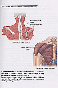 Анатомия шедевров. Что видит врач там, где другие видят только искусство