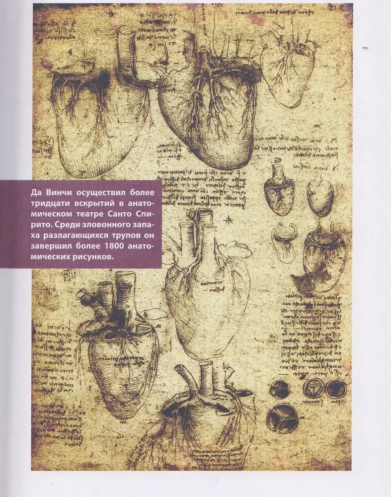 Анатомия шедевров. Что видит врач там, где другие видят только искусство