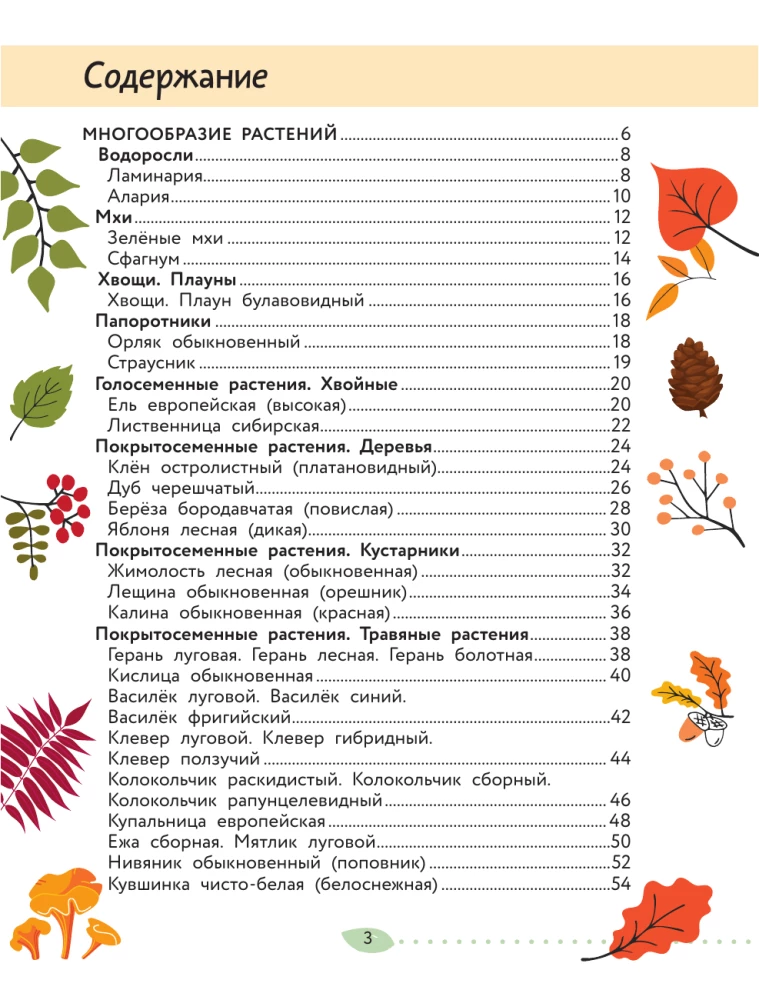 Świat Przyrody. Rośliny i grzyby