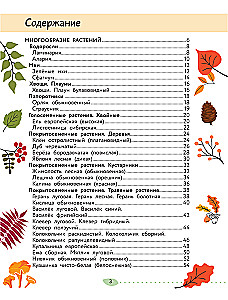 Świat Przyrody. Rośliny i grzyby