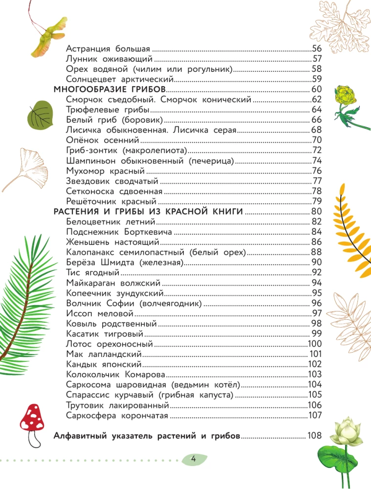 Świat Przyrody. Rośliny i grzyby