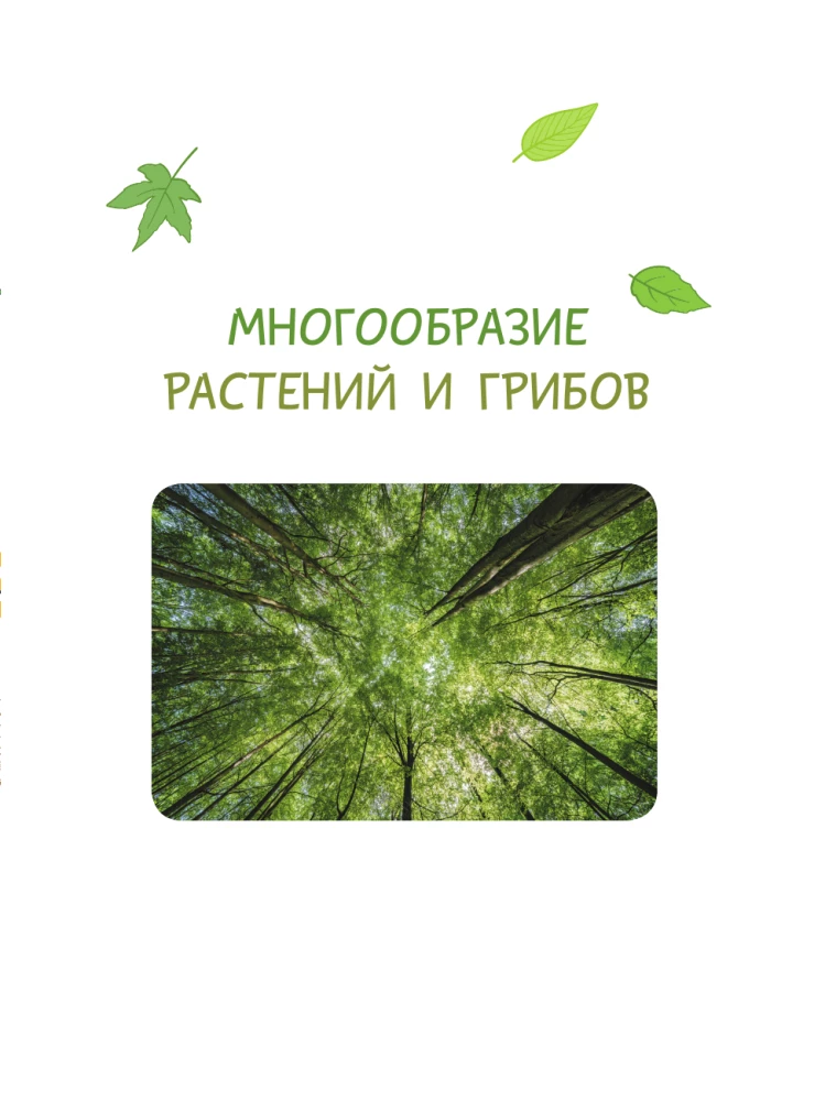 Świat Przyrody. Rośliny i grzyby