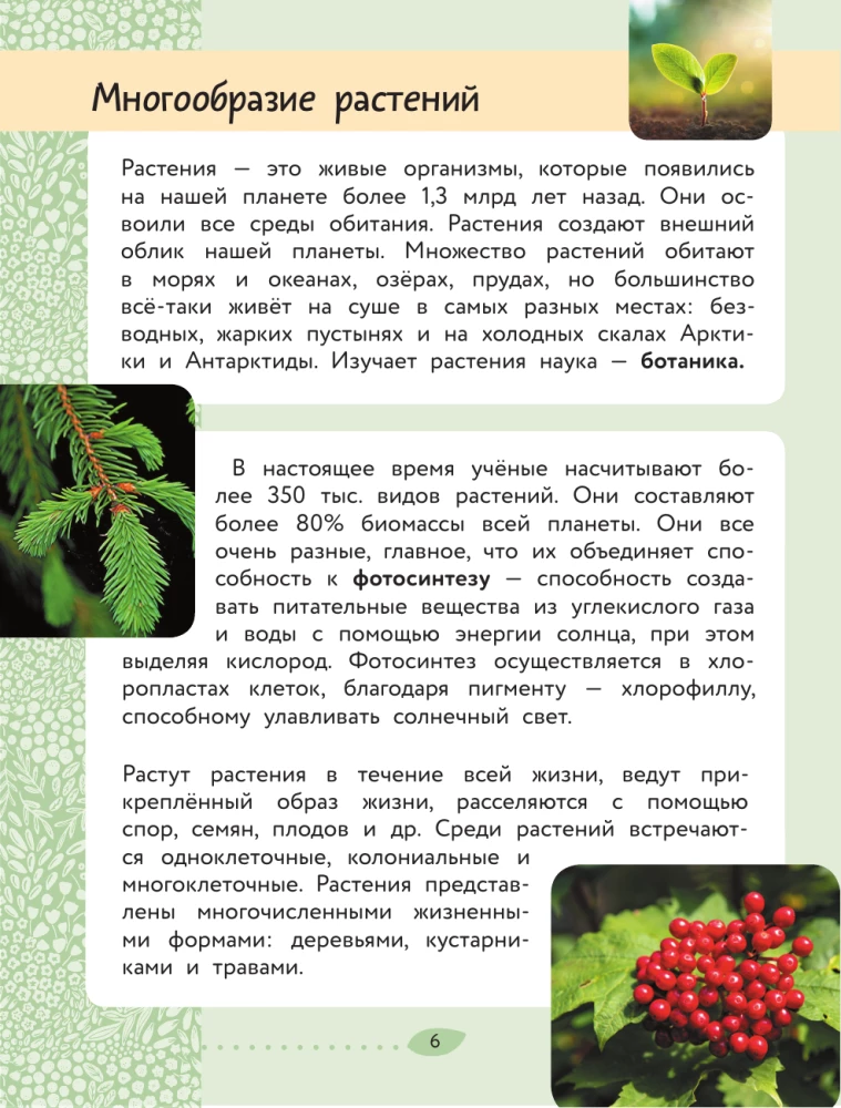 Świat Przyrody. Rośliny i grzyby