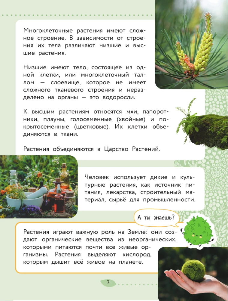 Świat Przyrody. Rośliny i grzyby