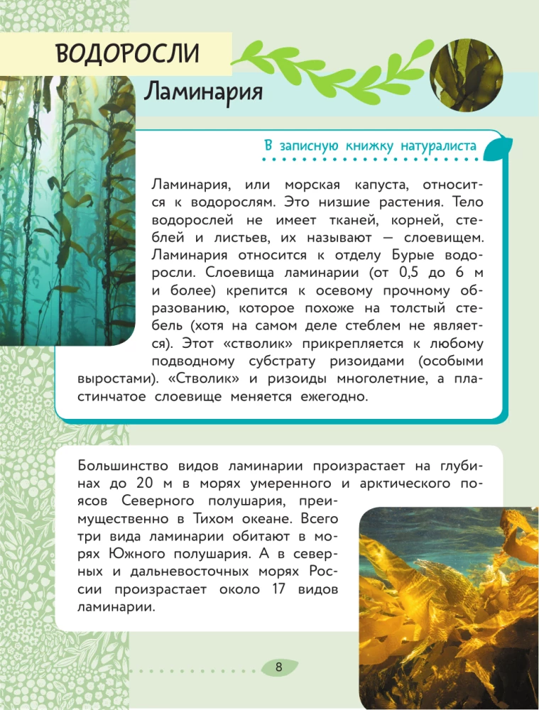 Świat Przyrody. Rośliny i grzyby