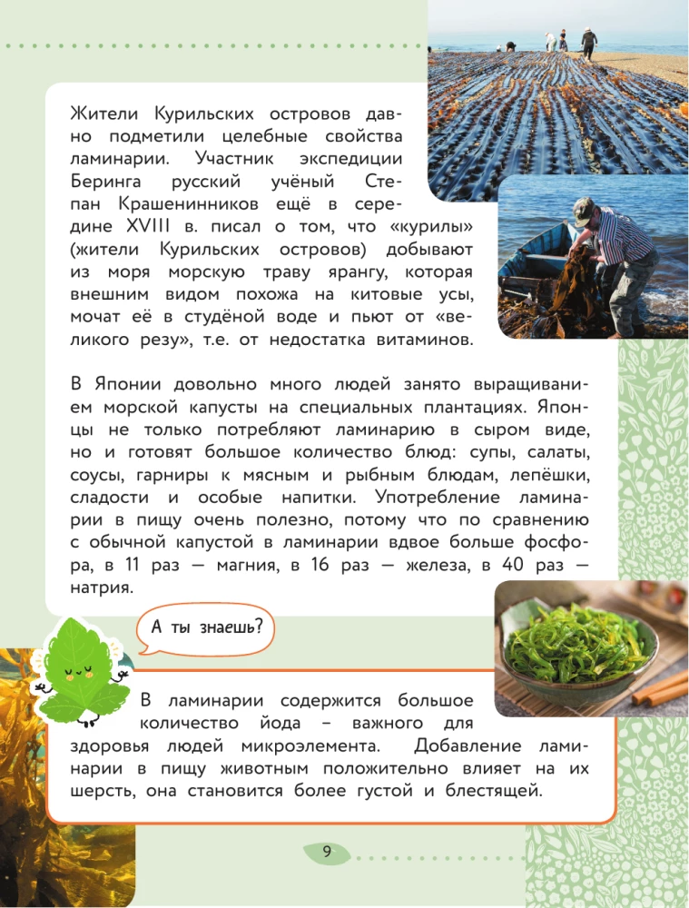 Świat Przyrody. Rośliny i grzyby