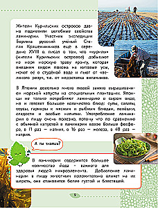 Świat Przyrody. Rośliny i grzyby