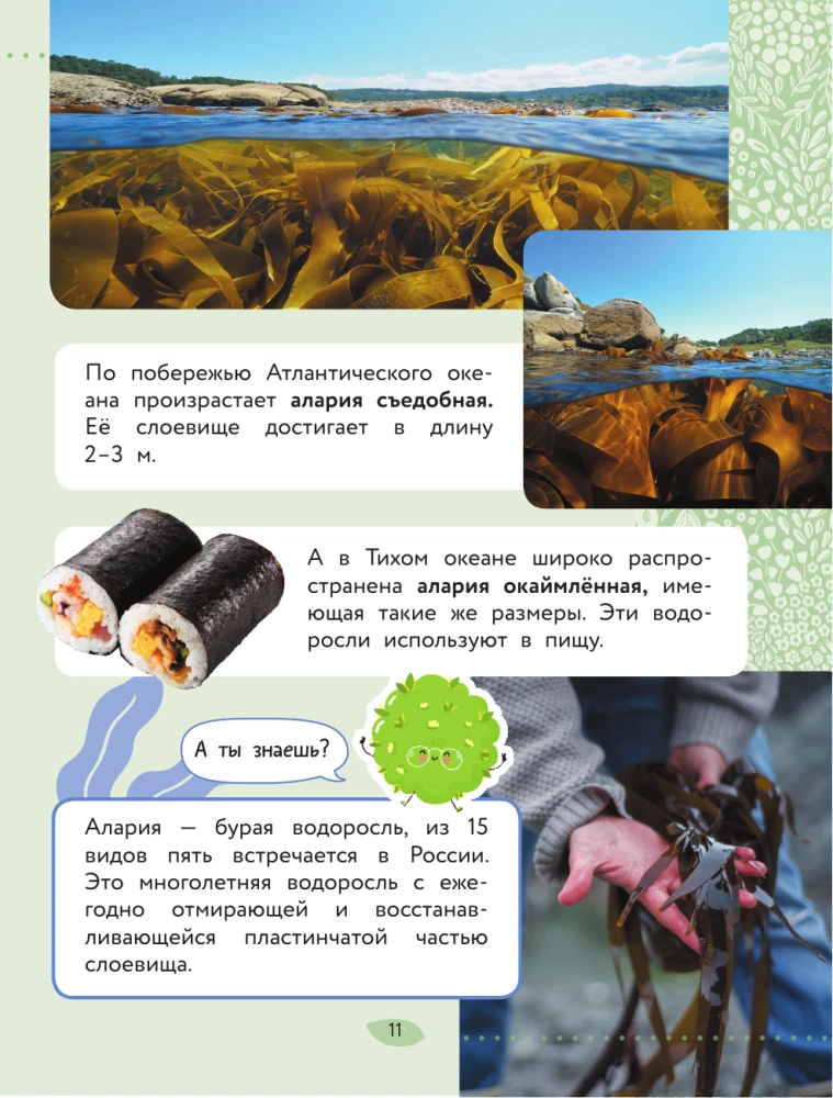 Świat Przyrody. Rośliny i grzyby