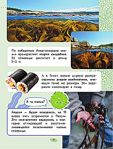 Świat Przyrody. Rośliny i grzyby