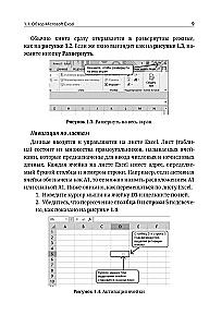 Excel. Žingsnis po žingsnio vadovas profesionaliems ir asmeniniams uždaviniams