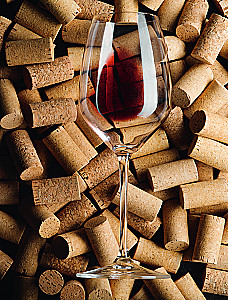 Wine of Russia. History, Geography, Selection