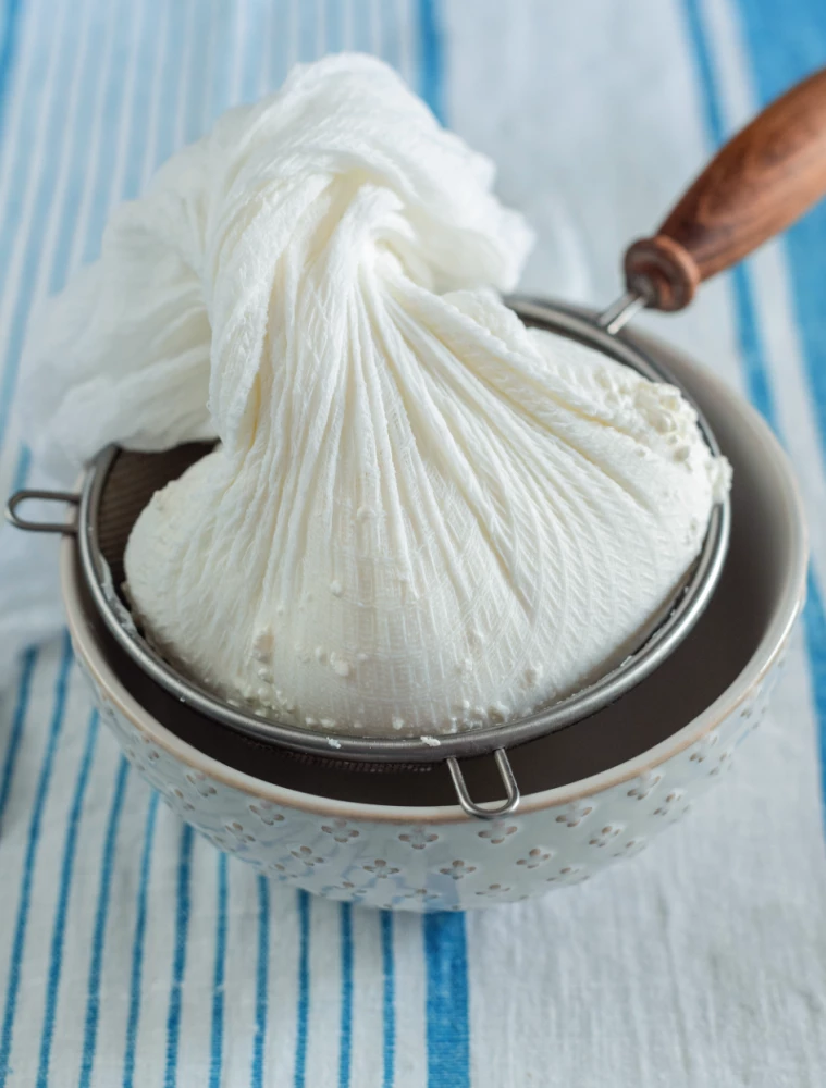 Cottage cheese, pastries, and love. Tender recipes for the whole family: from cheesecakes and casseroles to cheesecake and stollen