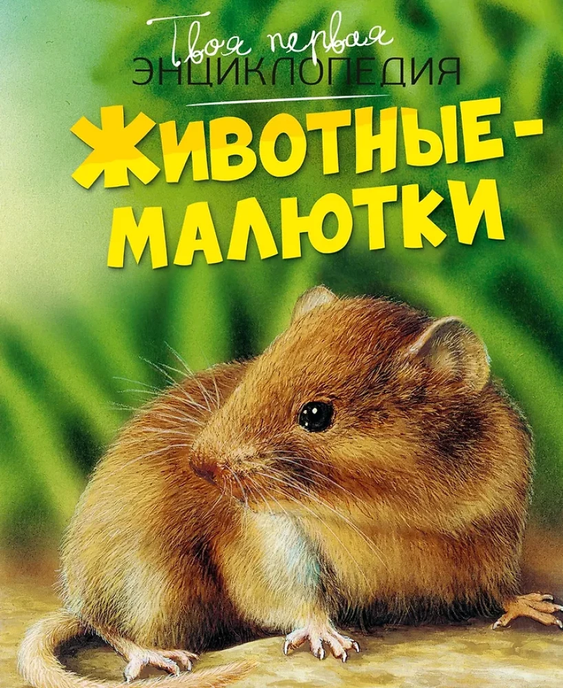 Tiny Animals