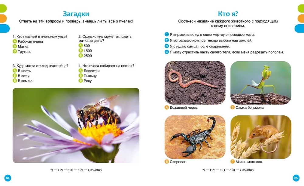 Tiny Animals