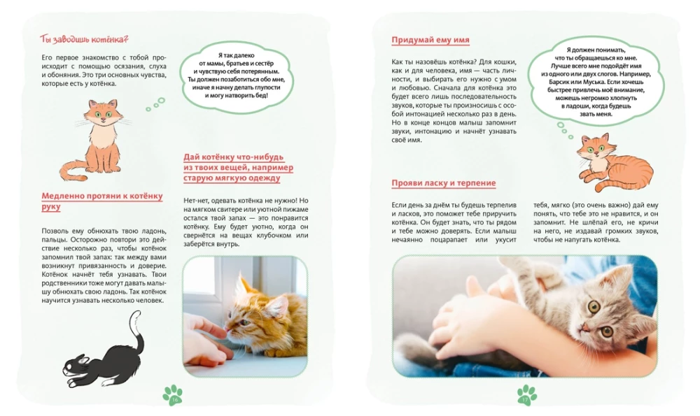 Ich und meine Katze. Wie man das Haustier versteht und sein Freund wird