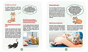 Ich und meine Katze. Wie man das Haustier versteht und sein Freund wird