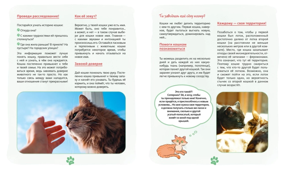 Ich und meine Katze. Wie man das Haustier versteht und sein Freund wird