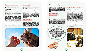 Ich und meine Katze. Wie man das Haustier versteht und sein Freund wird