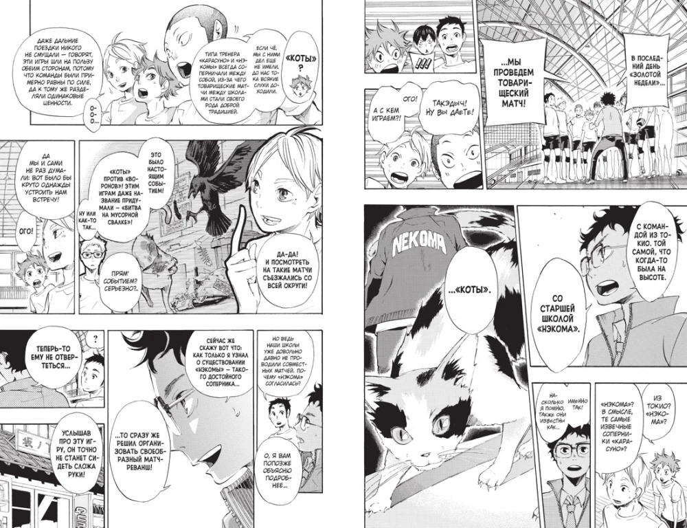 Volejbols! Grāmata 2. Uz priekšu, komanda Karasuno! Pretinieki