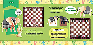 Стань чемпионом по шахматам. Игра в шахматы