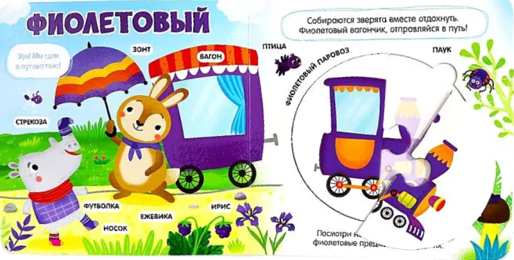 Colors. 6 maxi-puzzles inside