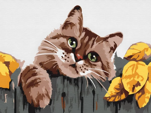 Malbuch nach Zahlen - Miau