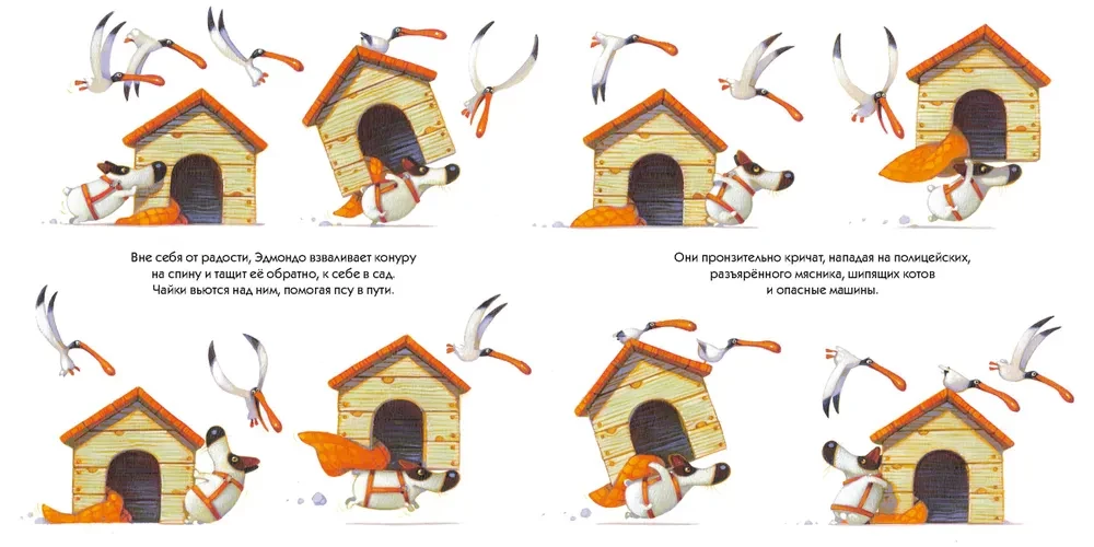 Edmondo und seine Hundehütte