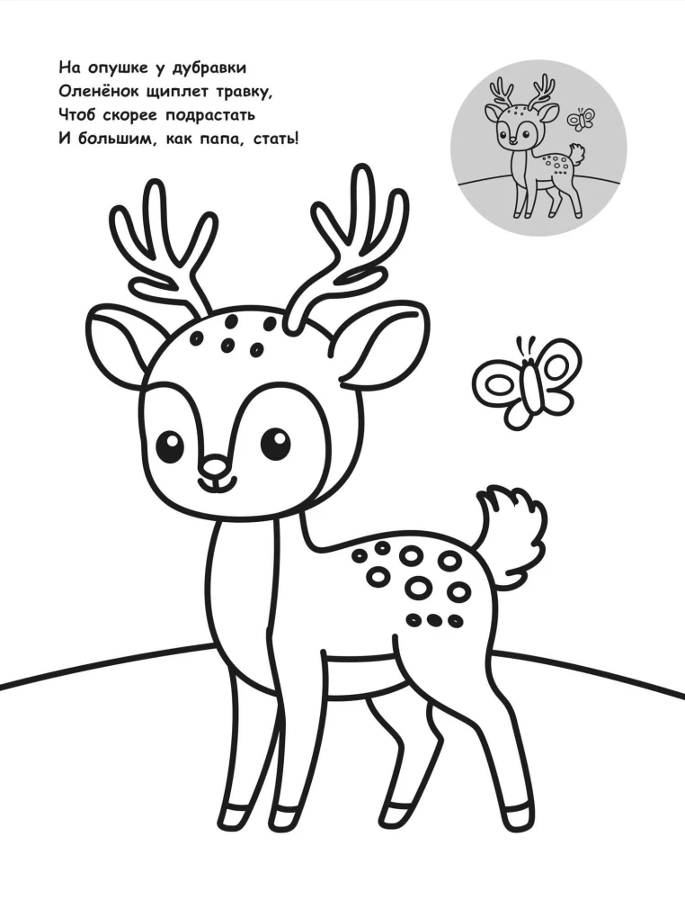 Krāsojamā grāmata mazajiem ar uzlīmēm. Mežā