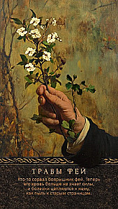 Orakel der Königin der Feen: Befreiung von Magie und Hexerei (50 Karten + Broschüre)