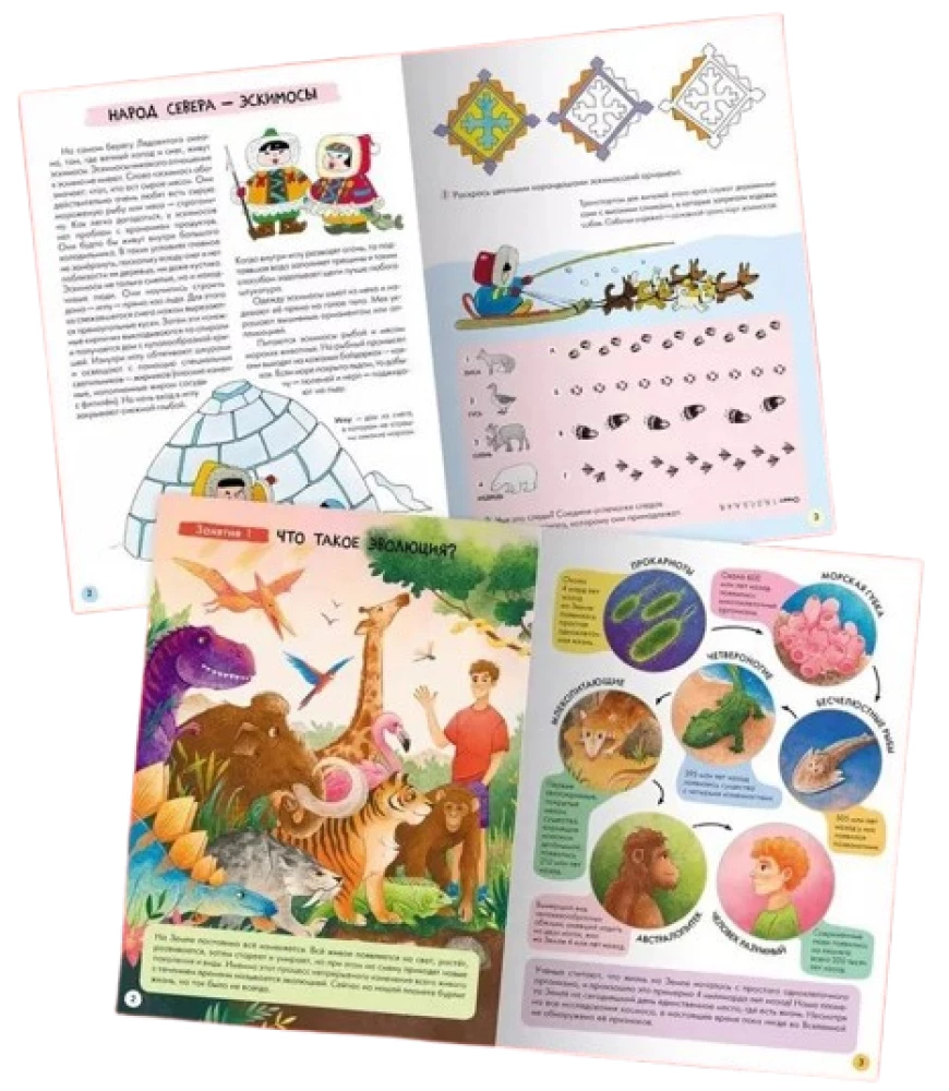 Szkoła Siedmiu Krasnoludków. Roczny kurs podstawowy. Zestaw 6+