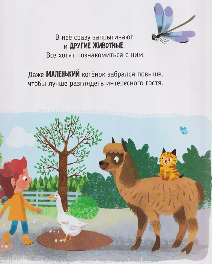 Der beste Tag. Abenteuer von Bruder und Schwester