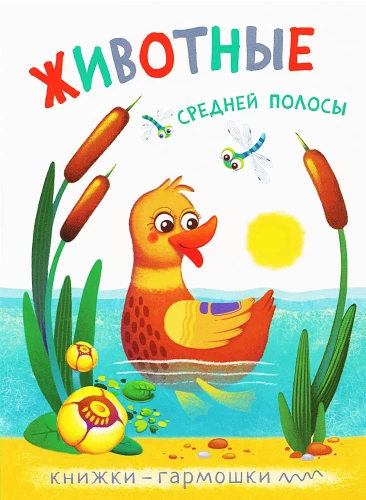 Accordion Books. Vidutinės juostos gyvūnai
