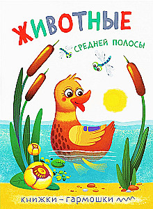 Accordion Books. Vidutinės juostos gyvūnai