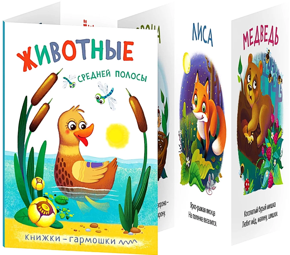 Accordion Books. Vidutinės juostos gyvūnai