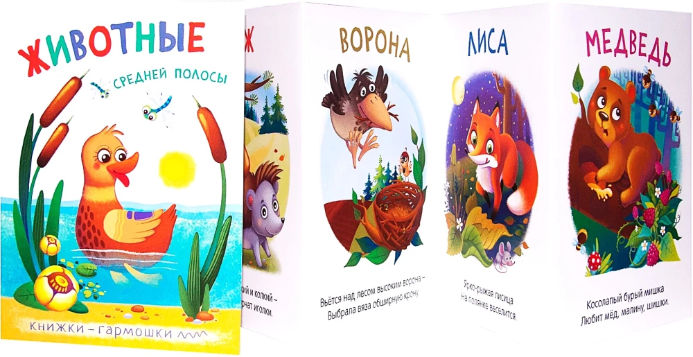Accordion Books. Vidutinės juostos gyvūnai
