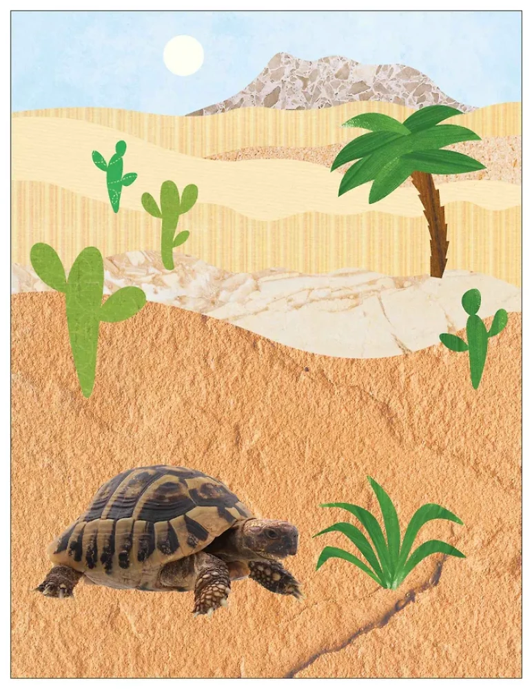 Fotoplstiki. W Afryce